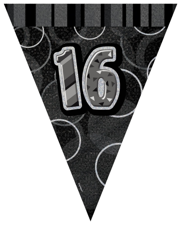 black silver 16th bunting